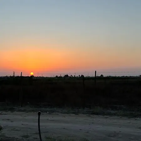 Nyaraló Grape Escape Palmela