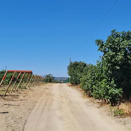 Grape Escape Nyaraló Palmela