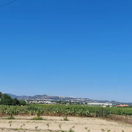 Nyaraló Grape Escape *