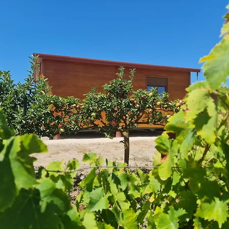 Grape Escape Palmela