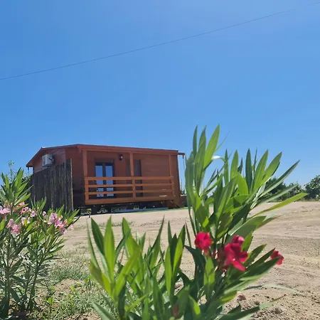 Grape Escape * 파멜라