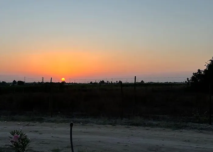 Vakantiehuis Grape Escape Palmela