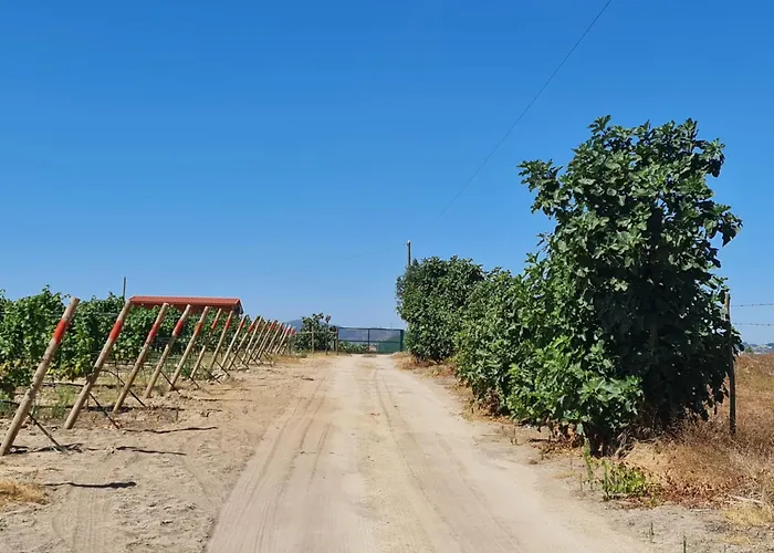 Grape Escape Vakantiehuis Palmela