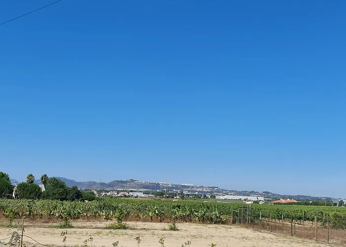 Vakantiehuis Grape Escape *