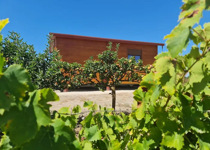 Grape Escape Palmela