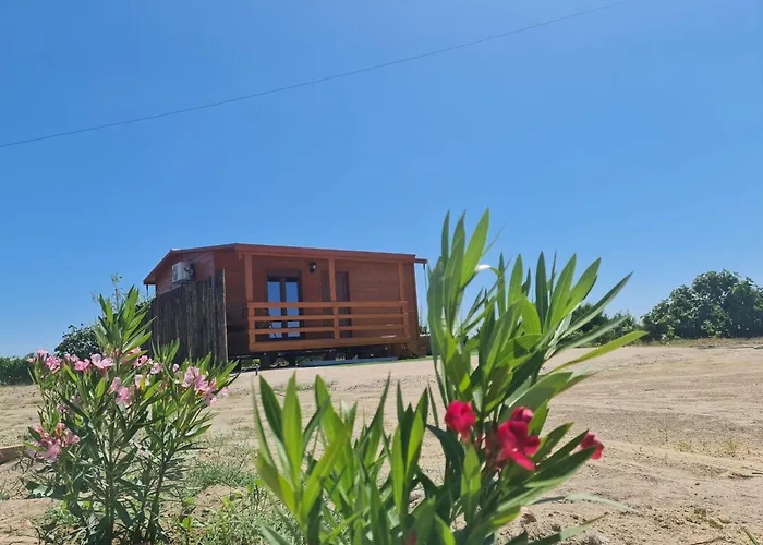 Grape Escape * Palmela