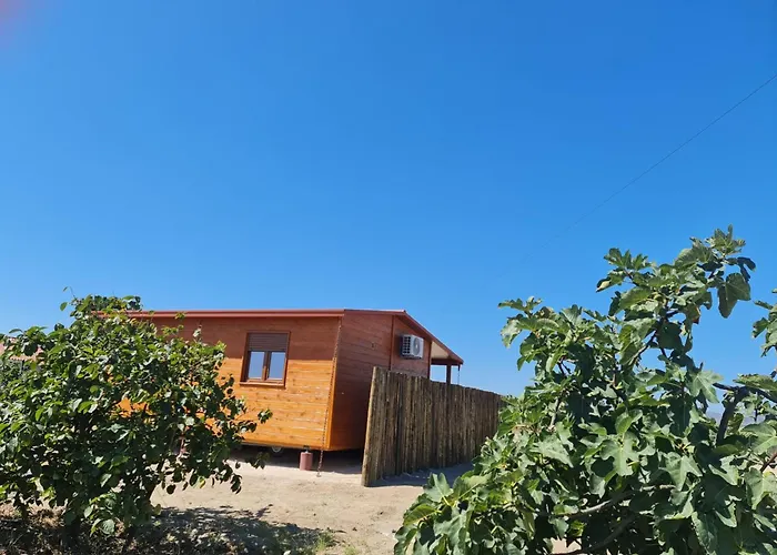 Grape Escape Vakantiehuis *